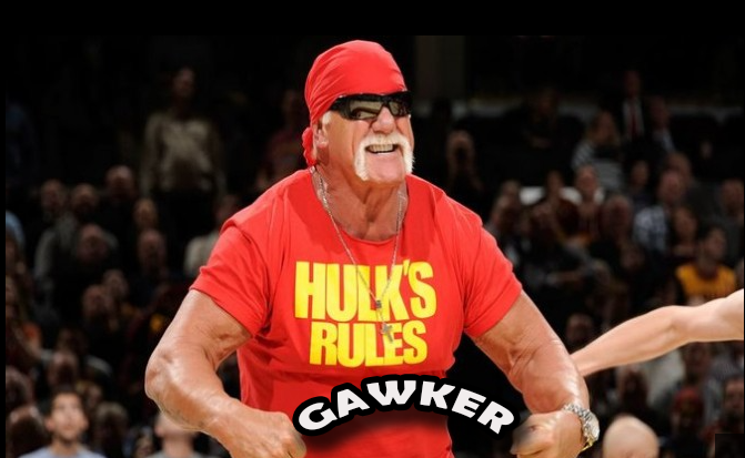 GAWKER_MEDIA_RAN_THE_HIT_JOBS__HOGAN-VS-GAWKER.png