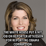 ATTKISSON_SPEAKS_FIGHT_BACK.png