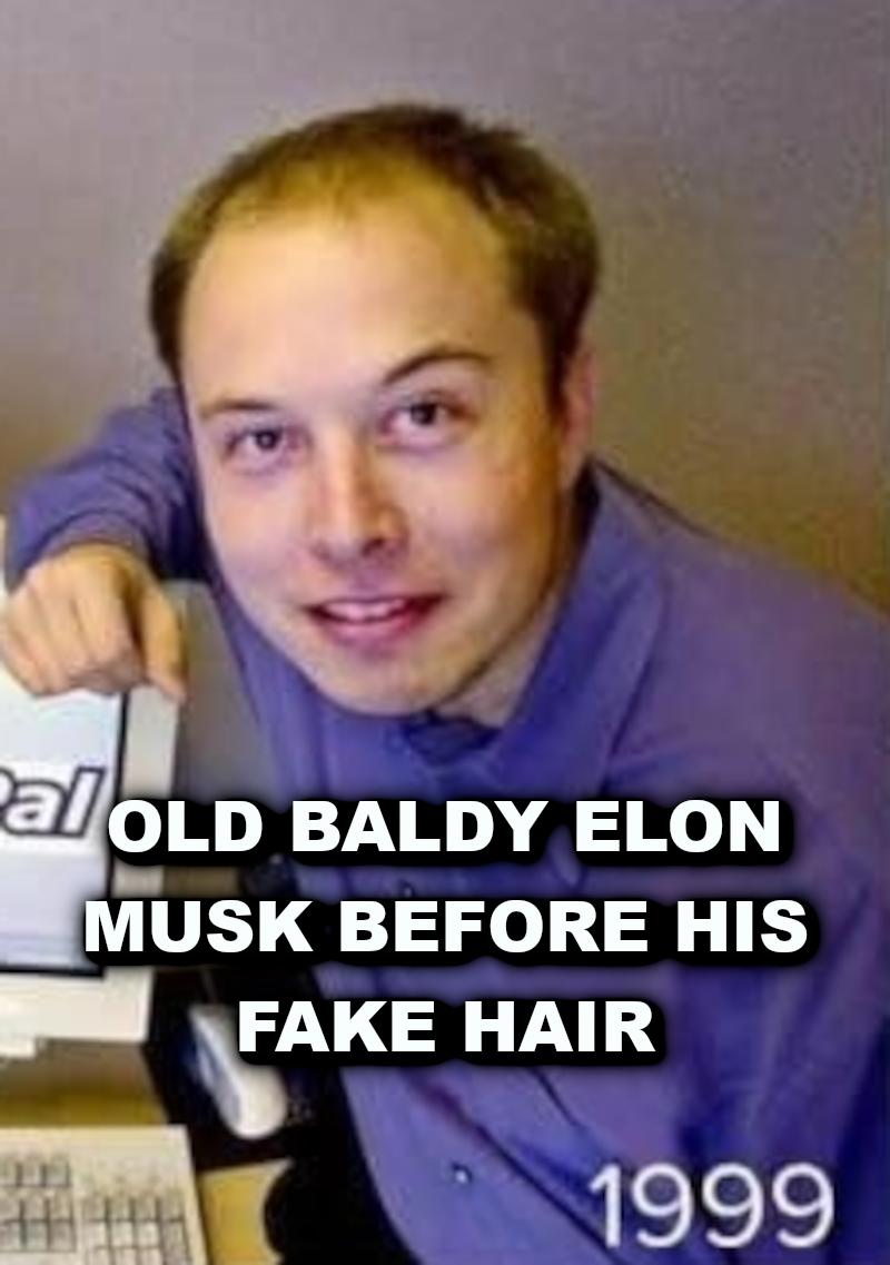 ELON_MUSK_BALDING_DOUCHEBAG_ELON_MUSK_IS_A_CROOK_AND_SCAMMER.png