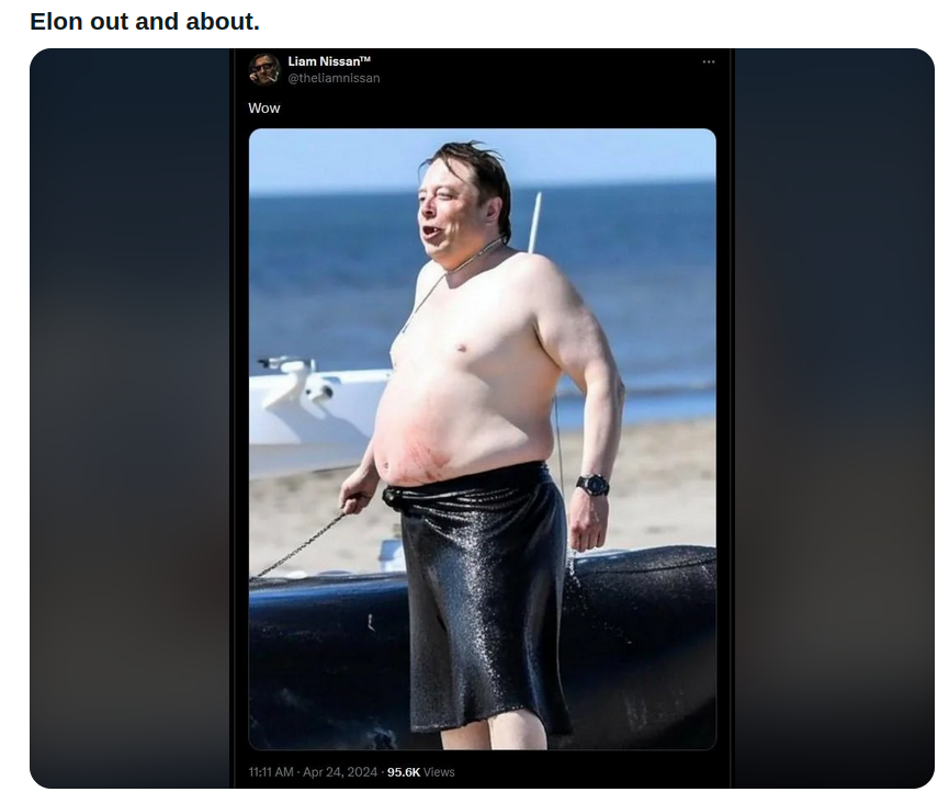 FAT_ELON_MUSK.png