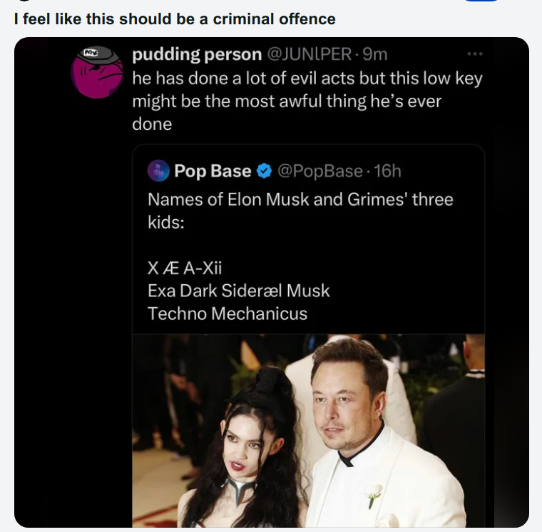 MUSK_IS_AN_IDIOT.png