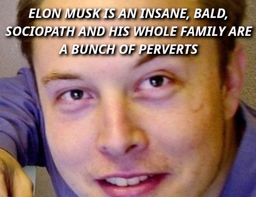 POSTER-THE-ELON-MUSK-STORY-311x240.png