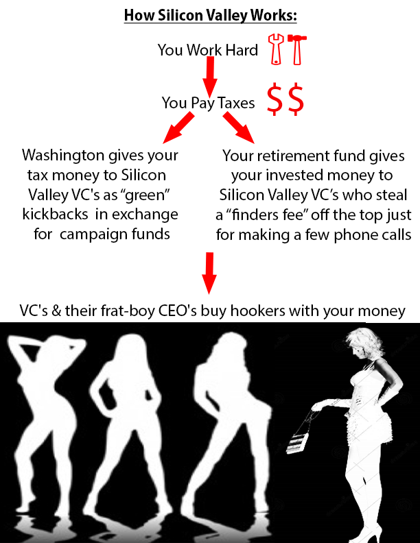 SILICON-VALLEY-ELON-MUSK-CORRUPTION-MUSK-1.png