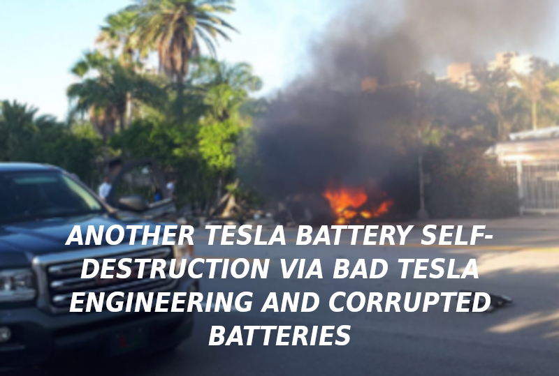 TESLA-DEATH-CAR-CRASH-AGAIN-Elon-Musk-Corruption-And-Crappy-Engineering-Make-Tesla-Cars-So-Unsafe-MUSK-1.png