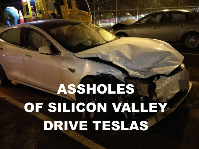 teslac04b-Elon-Musk-Corruption-And-Crappy-Engineering-Make-Tesla-Cars-So-Unsafe-_v1-MUSK-1.png