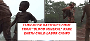 ELON_MUSK_HAS_CHILD_LABOR_FARMS.png