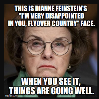 FEINSTEIN SUCKS MONKEY BALLS 666 ELON MUSK IS A CROOK AND SCAMMER
Keywords: Rare Earth Mines Of Afghanistan, New America Foundation Corruption, Obama, Obama Campaign Finance, Obama FEC violations, Palo Alto Mafia, Paypal Mafia, Pelosi Corruption, Political bribes, Political Insider,  Eric Schmidts Sex Penthouse, SEC Investigation