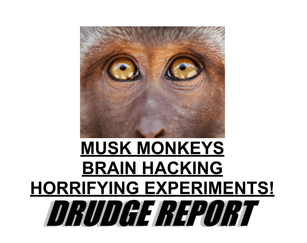 musk-tortures-animals-all-day
Keywords: Rare Earth Mines Of Afghanistan, New America Foundation Corruption, Obama, Obama Campaign Finance, Obama FEC violations, Palo Alto Mafia, Paypal Mafia, Pelosi Corruption, Political bribes, Political Insider,  Eric Schmidts Sex Penthouse, SEC Investigation