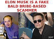 ELON-MUSK-IS-A-SCAM-MASTER-BALD-HEAD-1~0.png