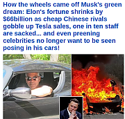 ELON_MUSK_FAILS_ALL_OVER_THE_WORLD~0.png