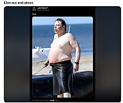 FAT_ELON_MUSK~1.png