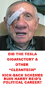 HARRY-REID-TESLA-KICKBACKS_ELON_MUSK_IS_A_CROOK_AND_SCAMMER~0.png