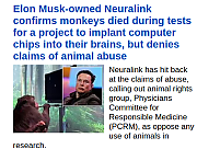 MUSK-KILLS-MONKEYS~0.png