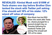 MUSK-STOCK-CRIMES-MUSK-1~0.png