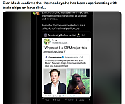 MUSK_KILLS_ANIMALS_ALL_DAY~0.png