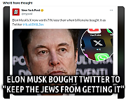 MUSK_PROFITS~0.png