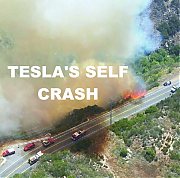 TESLA-HACKED-AND-CRASHED-1-ELON-MUSK-IS-A-CROOK-AND-SCAMMER_v1-MUSK.png