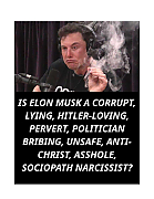 THE_CRIMES_AND_LIES_OF_ELON_MUSK-pdf.jpg