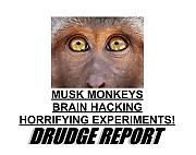 musk-tortures-animals-all-day~0.png