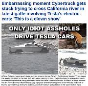 tesla_assholes_564.png